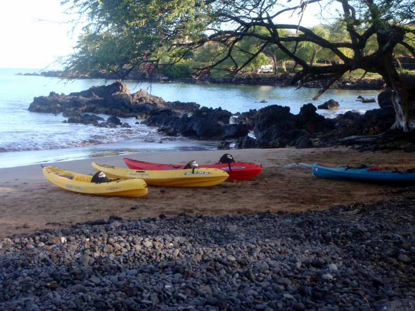 South Maui: Whale Watch Kayaking and Snorkel Tour in Kihei - Kayaking in Mauis Crystal Waters