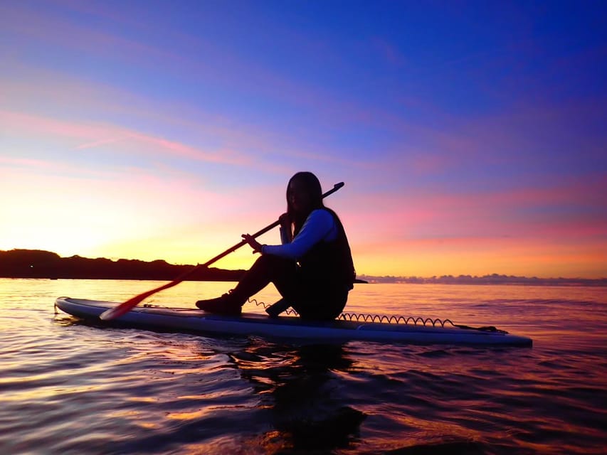 Stand Up Paddleboard: Amazing Sunrise at Mangrove River - Meeting and Preparation