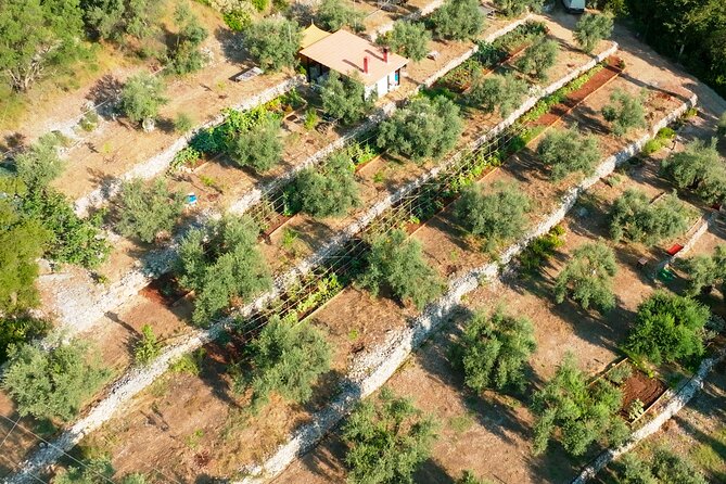 The Olive Oil Experience @ Lefkada Micro Farm - Booking Confirmation