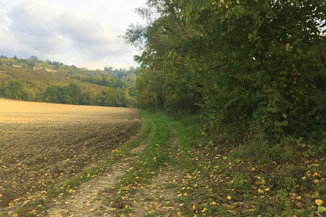 Truffle Hunt and Barolo Wine Tasting - Meeting and Pickup