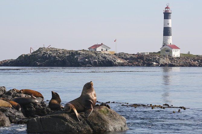 Victoria Whale and Wildlife Cruise - Tour Duration and Group Size