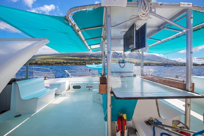 Whale Watching Cruise With Open Bar From Kaanapali Beach - Comfortable Catamaran Features