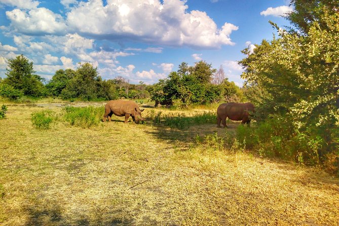 White Rhino Walk in the Mosi Oa Tunya - Customer Feedback