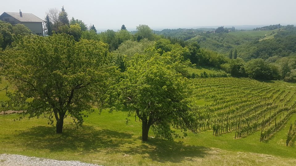 Wine & Food Tour of PlešIvica Near Zagreb - Frequently Asked Questions