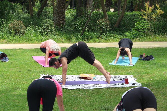 Yoga at María Luisa Park in Seville - Pricing and Cancellation Policy