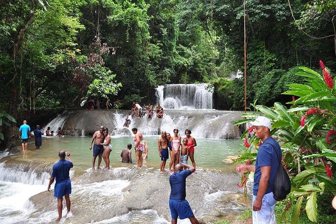 YS Falls and the Pelican Bar Adventure Tour From Kingston - Getting to the Tour