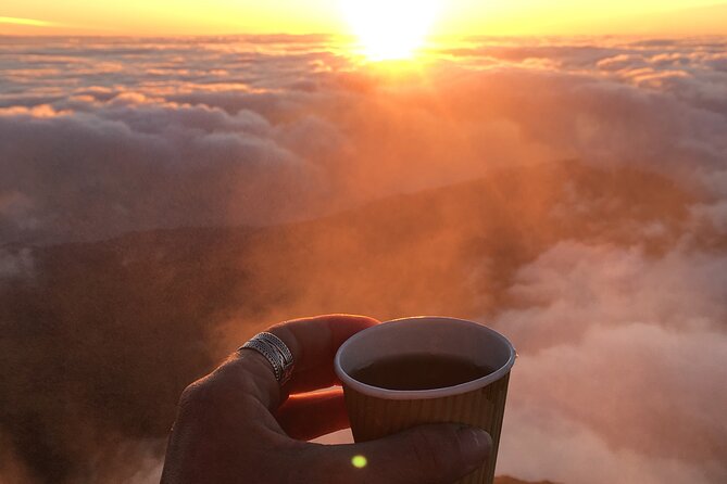 7-Hour Hike to Pico Mountain and Piquinho, 2,351 Meters - Inclusions and Services Provided