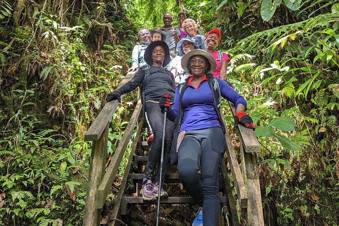 7 Hours Wildlife Discovery Tour in Dominica - Key Points