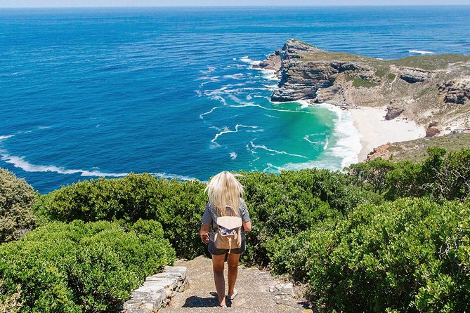 1 Day Cape Peninsula and Boulders Tour With Private Transfers - Discover Boulders Beach