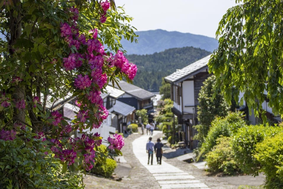 1-Day Tour From Nagoya: Review of Experience - The Hike Along Nakasendo Trail