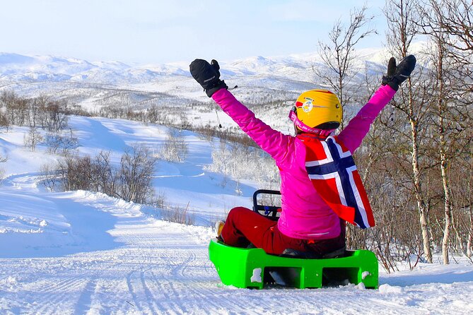 2-Hour Racing Toboggan at Dagali Fjellpark Near Geilo in Norway - Customer Reviews