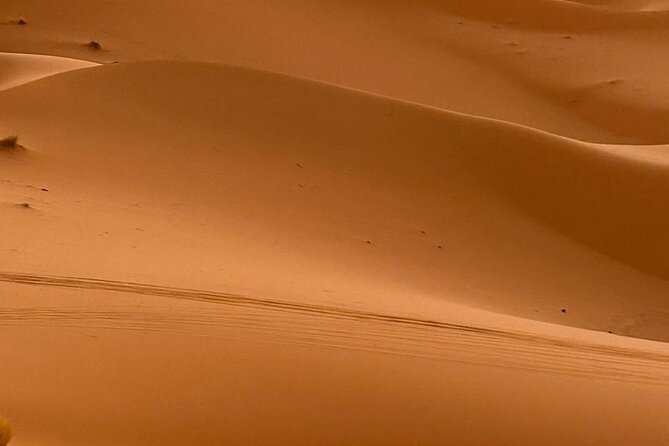 3-Day Tour to Merzouga Erg Chebbi With Food & Camel Trek - Meal Inclusions