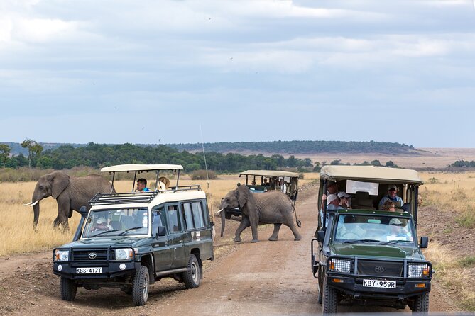 3 Days Luxury Safari Tour in Tanzania - Price