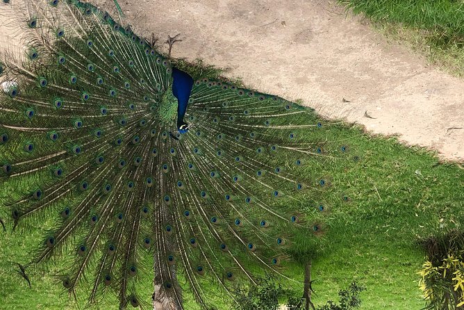 3 Days Tour From Tangier to Fes & Chefchaouen - Discover Volubilis