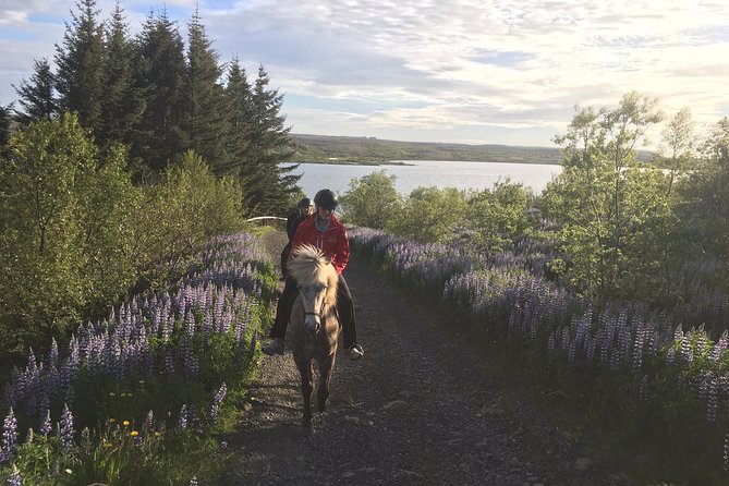 3 Hour Private Horse Riding Tour in Mosfellsdalur - Personalized Experience