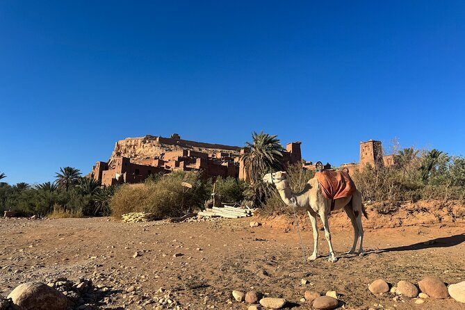 5-Day Private Tour to Sahara and Ergchebbi From Marrakech - Reviews and Ratings