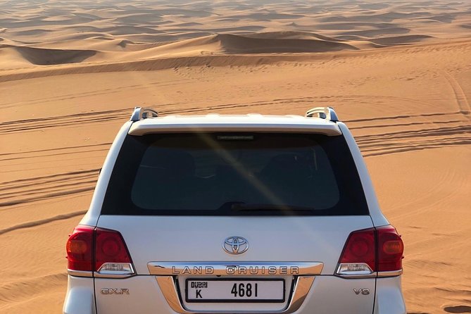 Abu Dhabi Morning Desert Safari - Private Car - Tour Highlights