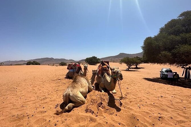 Agadir Desert Safari Day Tour With Lunch - Fishermen Village Exploration