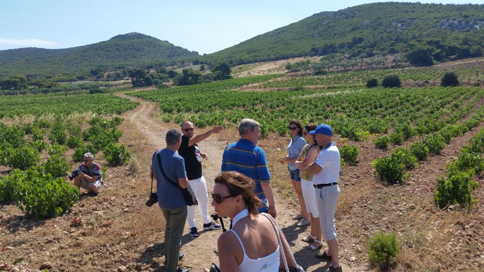 Athens: Private Wine Tour and Lunch at the Seaside - Additional Information