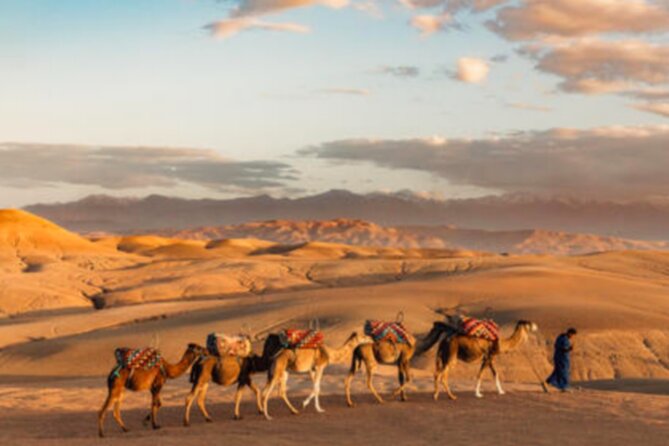 Atlas Mountains, 3 Valleys & Agafay Desert From Marrakech-Daytour - Camel Ride in Agafay