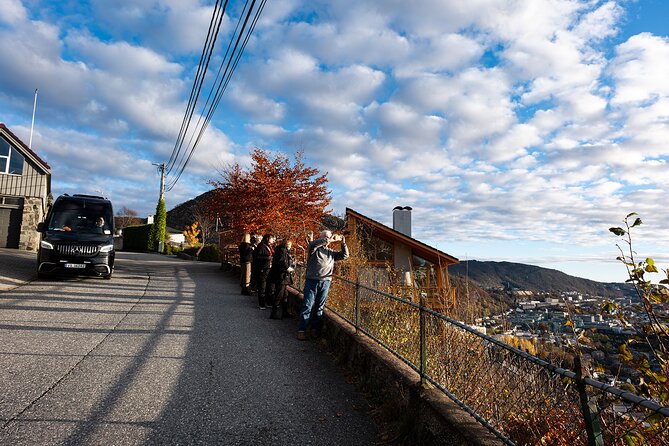 Bergen: Guided Tour by Minibus With Local Guide & Photostops - Tour Popularity and Availability