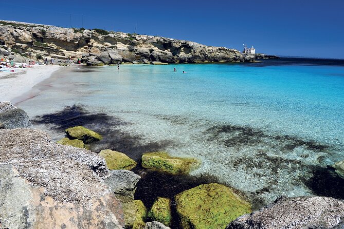 Boat Tour Excursion From Trapani to Favignana and Levanzo 8 Hours - Planning Your Visit