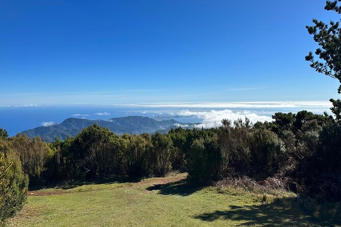 Botanical Trails of Madeira. Mountain Biking Trail Experience - Skill Level Accommodated