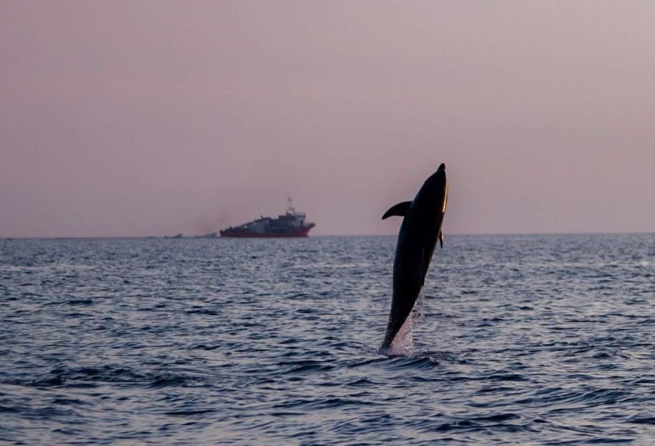 Brijuni Islands: Sunset & Dolphins Private Boat Tour - Visiting Brijuni National Park