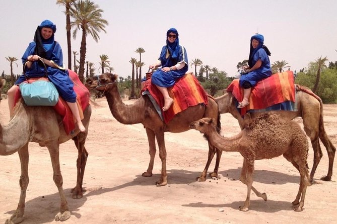 Camel Trekking Through Marrakeshs Palm Grove - Taking in Moroccan Culture