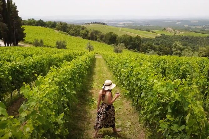 Chianti Vineyards: Small-Group Tour With Wine Tasting & Dinner - Highlights of the Tour