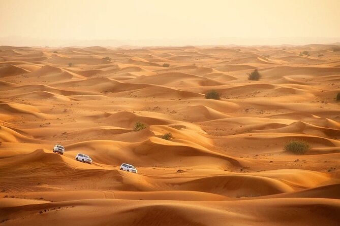 Doha: Desert Safari With Quad Bike ,Camel Ride and Sand Boarding - Tour Suitability and Accessibility