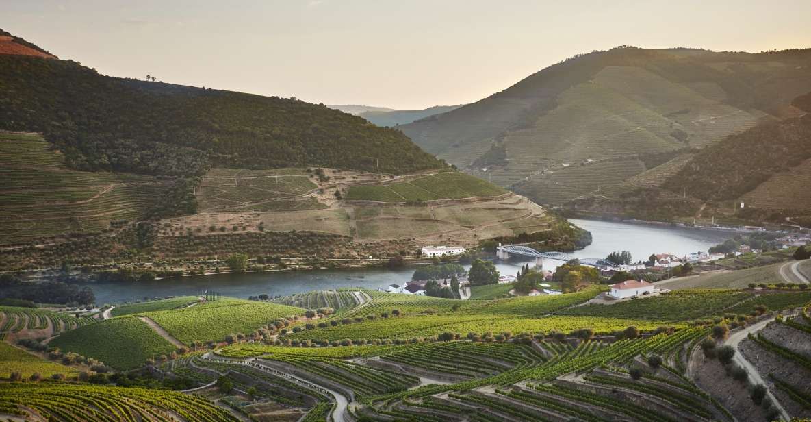 Douro and Port Tasting Quinta Do Bomfim - Cancellation Policy