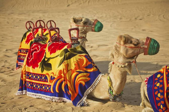 Dubai Desert Safari-Bbq Dinner, Belly Dance, Fire Show - Dining and Entertainment