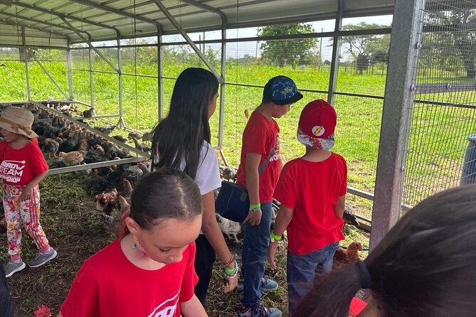 Eco Friendly Farming Tour to Explore Dorados Most Beautiful Farm - Exploring Dorados Beautiful Farm