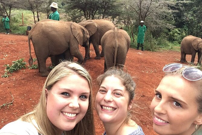 Elephant Orphanage, Giraffe Centre& Optional Nairobi Nationalpark - Nairobi National Park