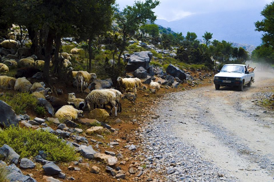 From Agios Nikolaos: Day Tour to Zeus Cave & Lasithi Plateau - Traditional Villages and Landscapes