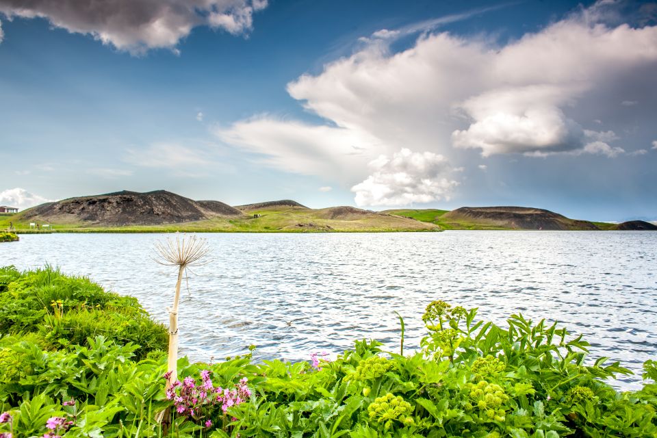 From Akureyri: Lake Mývatn Guided Tour With Lunch - Port Pickup and Drop-off