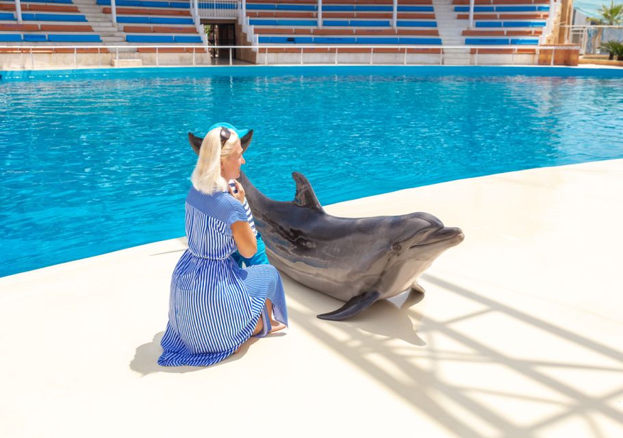 From City of Side/Alanya: Sealanya Dolphin Show W/ Transfers - Recap