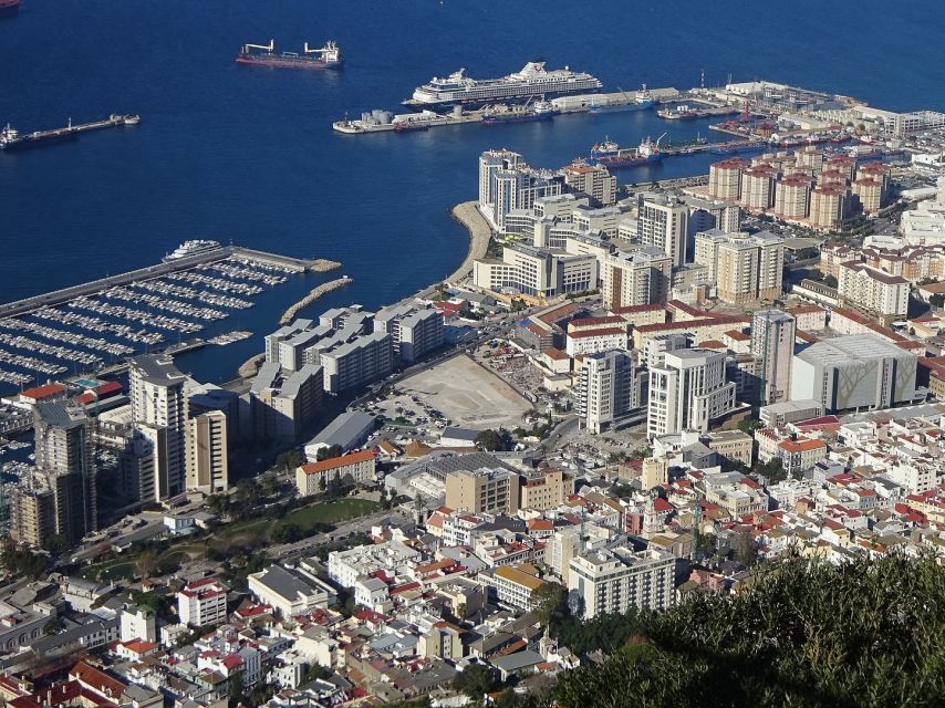 From Costa Del Sol: Gibraltar Dolphin Watching by Boat - Customer Feedback