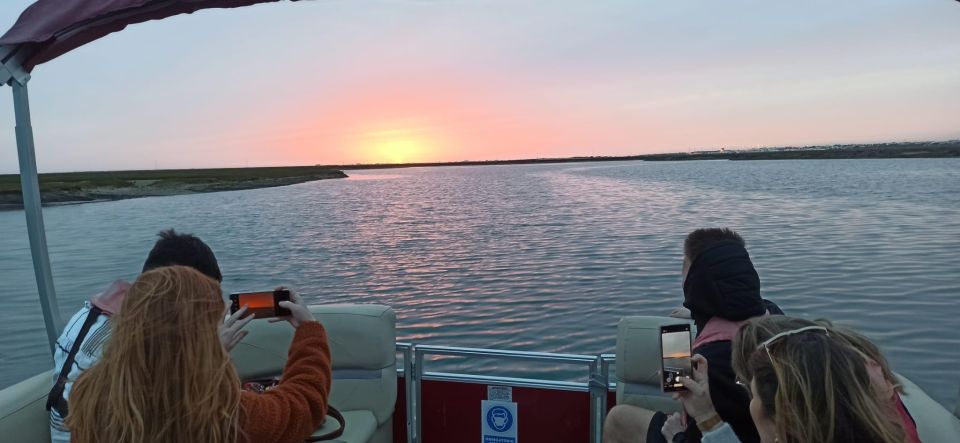 From Faro: Ria Formosa Islands Sunset Catamaran Cruise - Wildlife and Nature Encounters