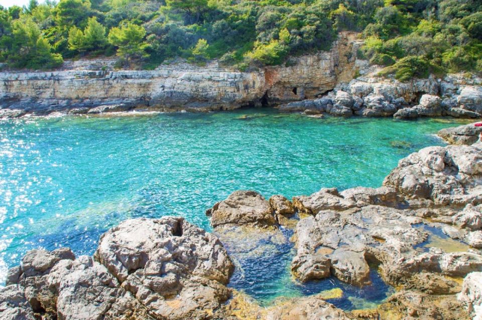 From Fažana: Snorkeling at the Sea Cave and Brijuni Island - Activities in Brijuni National Park