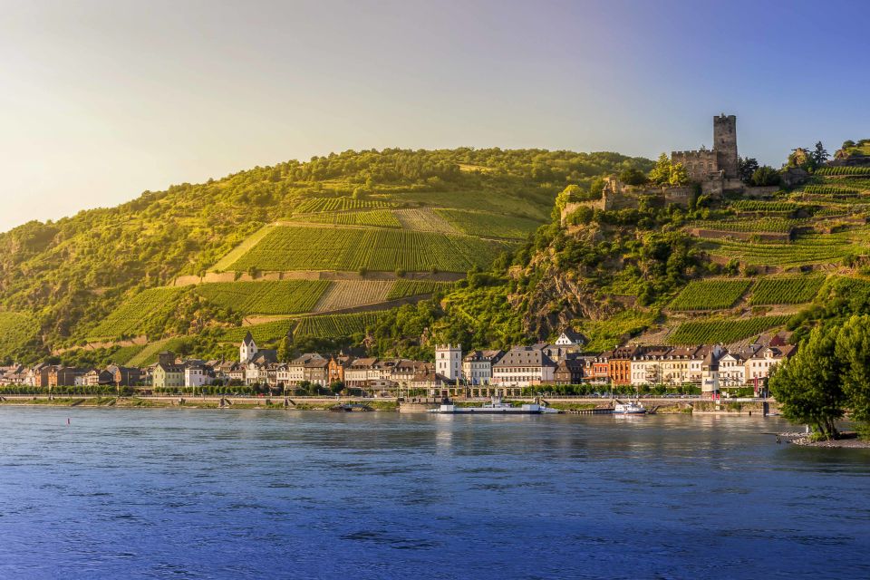 From Frankfurt: Rhine Valley Day Trip - Wine Tasting