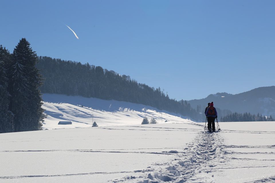 From Gardiner: Yellowstone National Park Snowshoe Tour - Transportation and Pickup Details