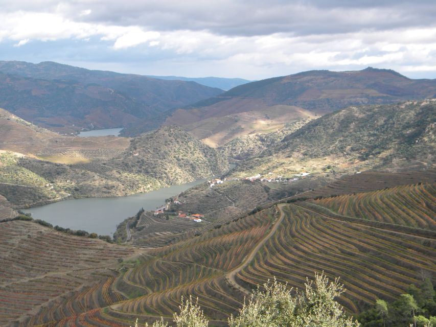 From Porto: Private Douro Valley Tour With Booking Service - Scenic Douro Valley Views