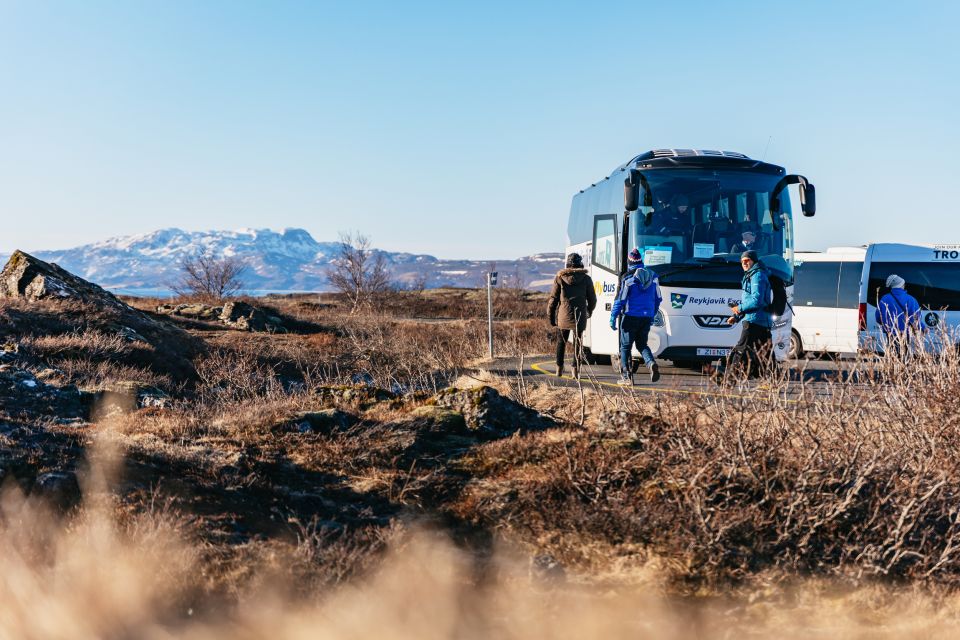 From Reykjavik: Golden Circle and Glacier Snowmobiling - Geysir Hot Spring Area