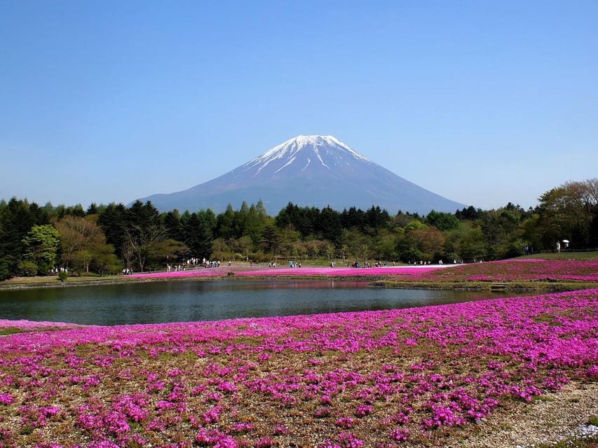 From Tokyo: Mt. Fuji or Hakone Private Sightseeing Day Trip - Itinerary Choices