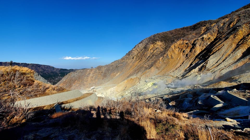 Hakone: Full Day Private Tour With English Guide - Hakone Ropeway