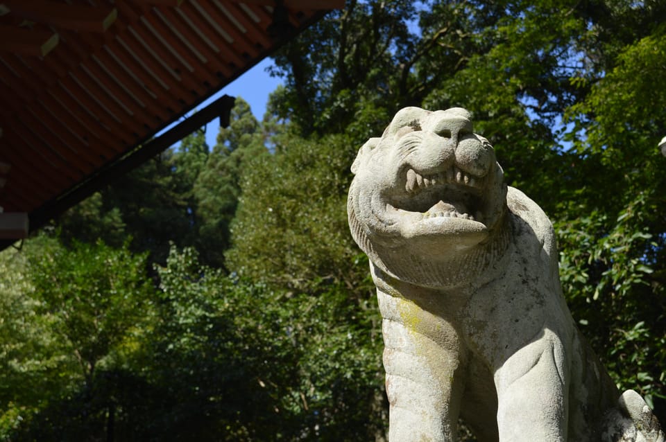 Hike the Mystic Northern Mountains of Kyoto - Onsen Experience