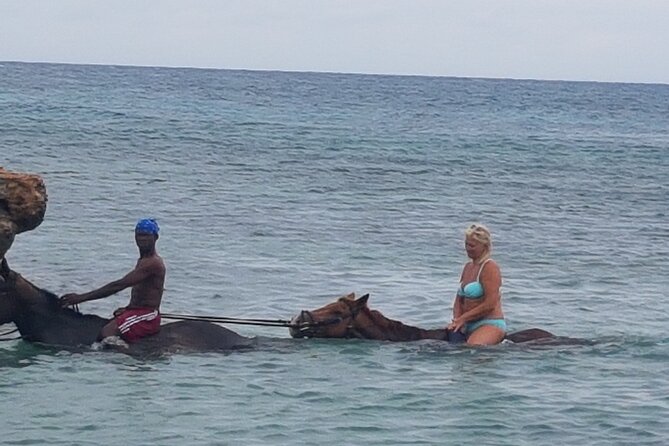 Horseback Riding Dunns River Falls Adventure From Montego Bay - Climbing Dunns River Falls