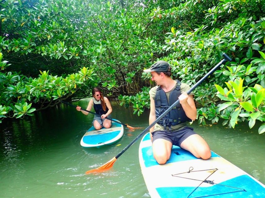 Ishigaki Island: SUP/Kayaking and Snorkeling at Blue Cave - Cancellation Policy